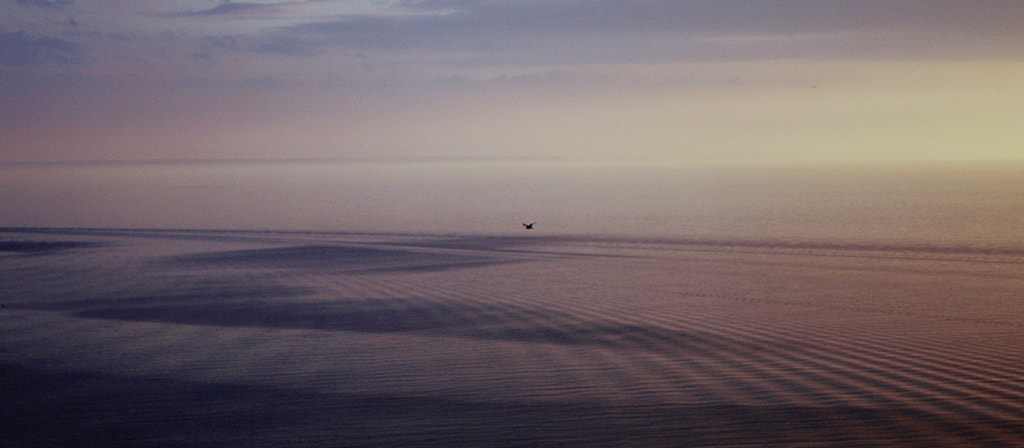 A morning scene of a coastal beach