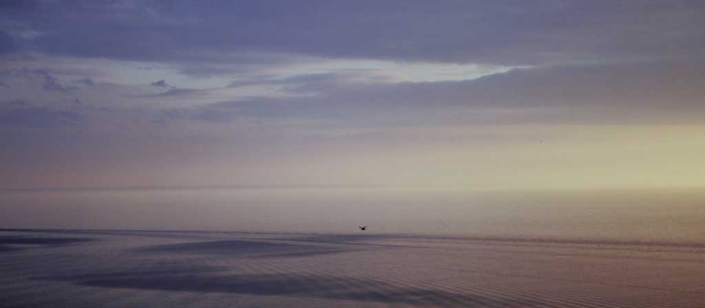 A morning scene of a coastal beach