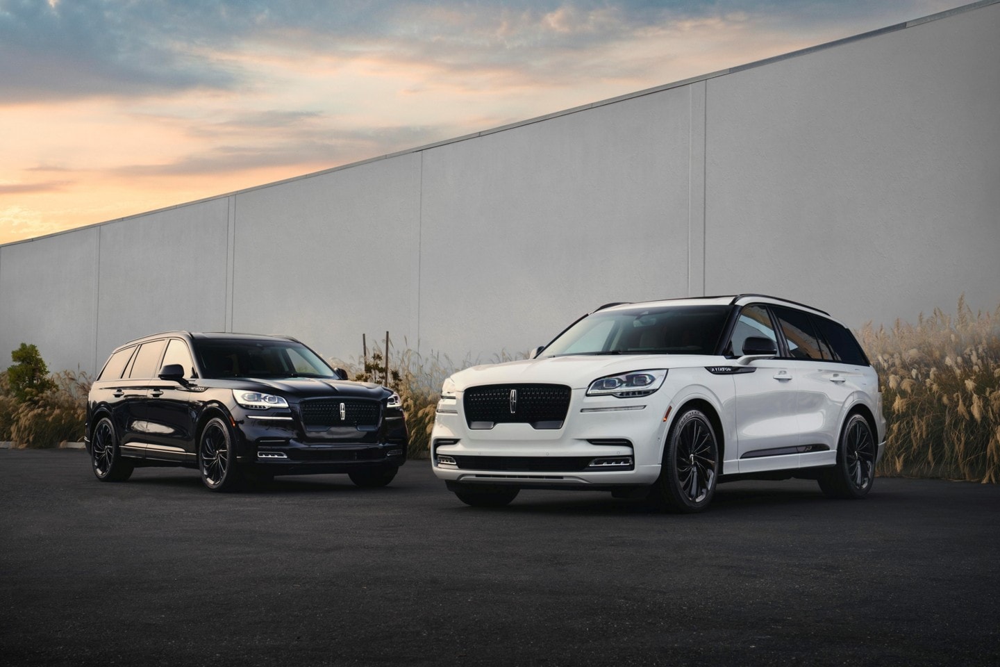 A Lineup of Lincoln Aviator Vehicles